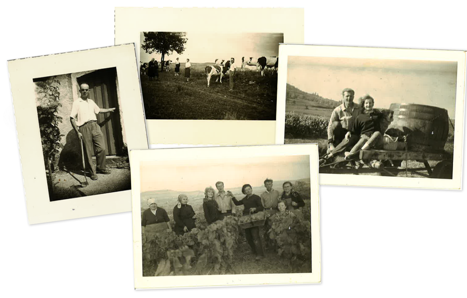 Photos archives de la famille Guérin viticulteurs à Change en Bourgogne, France