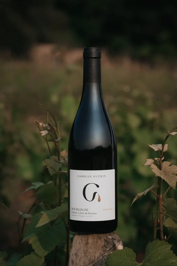 Bouteille de Bourgogne Hautes-Côtes de Beaune de Famille Guérin, dans les vignes