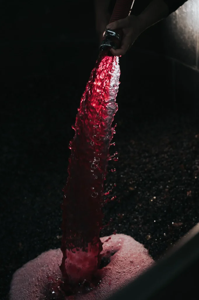 remontage de vin rouge au domaine Famille Guérin à Change, Bourgogne